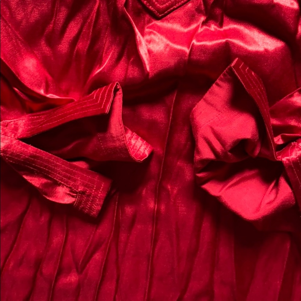 Ruby vintage glossy button down shirt - Picture 6 of 11